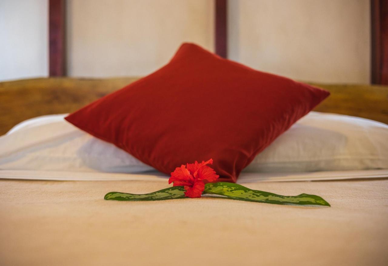 Namuwoki Lodge Puerto Viejo de Talamanca Ngoại thất bức ảnh