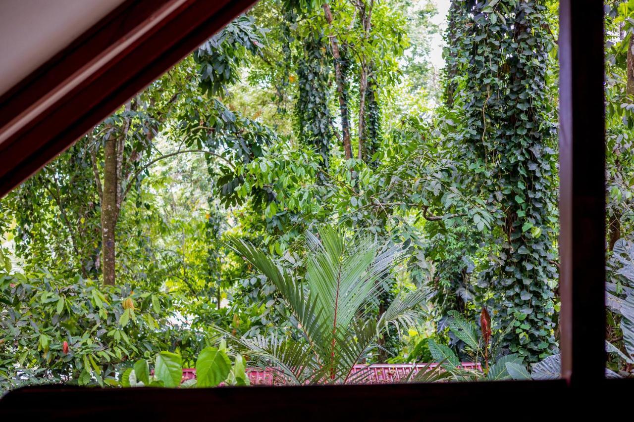Namuwoki Lodge Puerto Viejo de Talamanca Ngoại thất bức ảnh