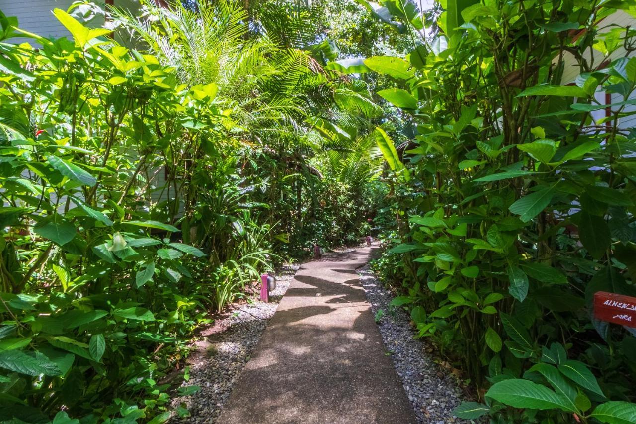 Namuwoki Lodge Puerto Viejo de Talamanca Ngoại thất bức ảnh